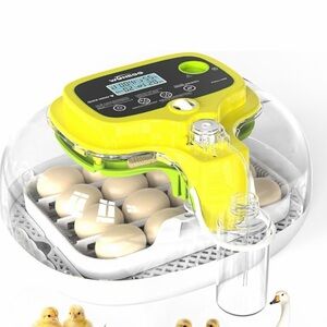 Yellow Egg Incubator with Digital Display